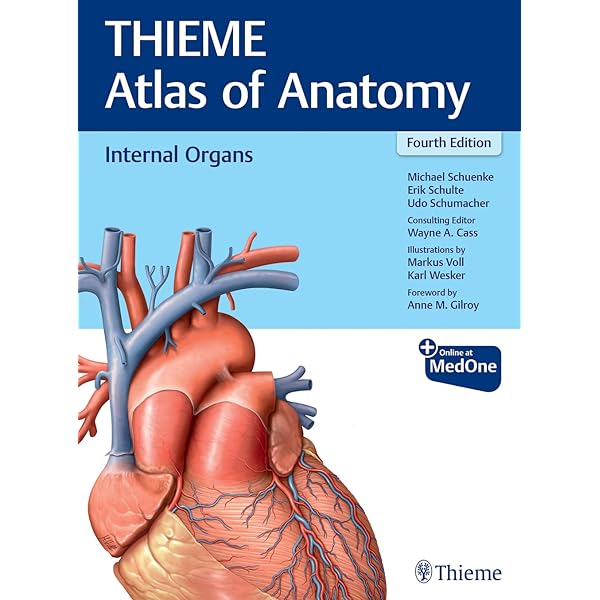 Head, Neck, and Neuroanatomy (THIEME Atlas of Anatomy Head, Neck, and Neuroanatomy (THIEME Atlas of Anatomy