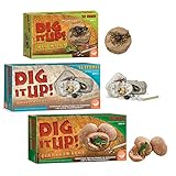 Dig it Up! Dinosaur Eggs, Big Bugs and Minerals Set of 3 Dig Kit