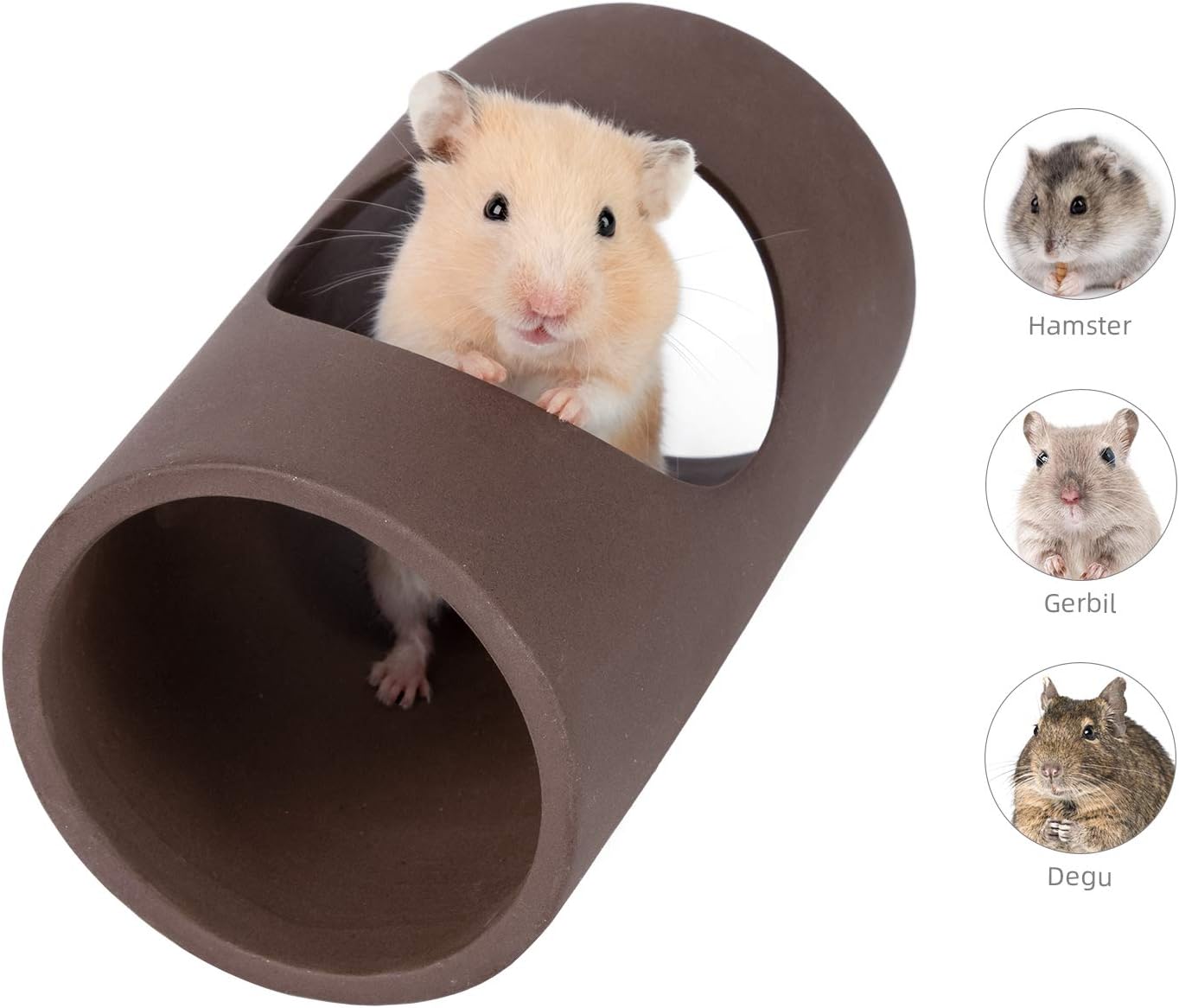 syrian hamster tunnels