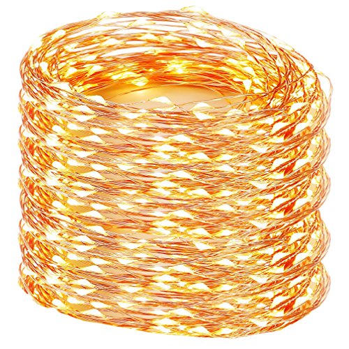 Decute 328 Feet 1000 LEDs Copper Wire Fairy String Lights, Christmas Starry Lights with UL Cerficated for Party Wedding Bedroom Christmas Tree, Warm White