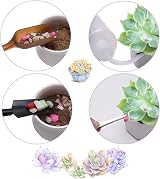 Holzsammlung 14Pcs Mini Garden Tools Set Bonsai & Succulent Kit view 2