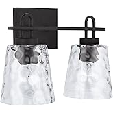 Capital Lighting 138322BI-492 Fenton Clear Water Glass Bath Vanity Wall Mount, 2-Light 200 Total Watts, 11" H x 15" W, Black 
