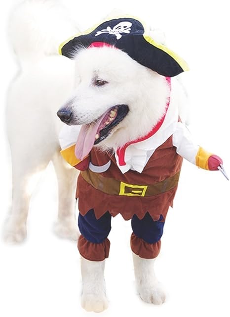 Costume Pirate Vetements Deguisement Pour Animal De Compagnie Chien Chat M Deguisements Et Accessoires Keysbuuk Deguisements