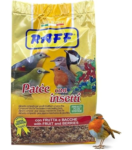 What to Feed Birds That Eat Insects: Top Nutritious Choices