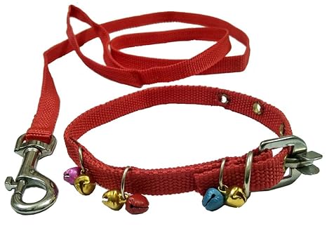 Sollar's Puppy Dog Collar Belt and Leash, X-Small, Red