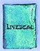Reversible Sequins Mermaid Pillow Cases 4040cm Multi Green and Black