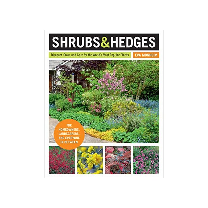 Buy Shrubs and Hedges Discover, Grow, and Care for the World's Most