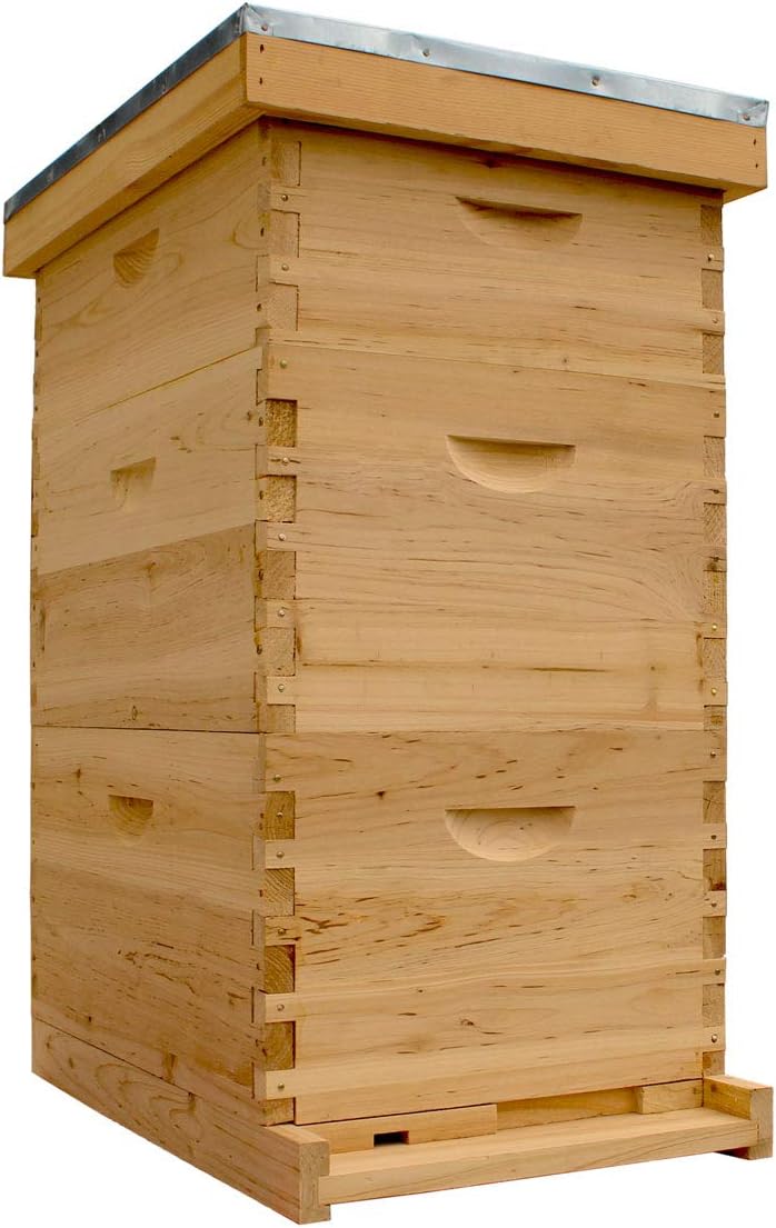 Bee Hive Complete with Frames & Wax Coated Foundations (NU8-2D1M)