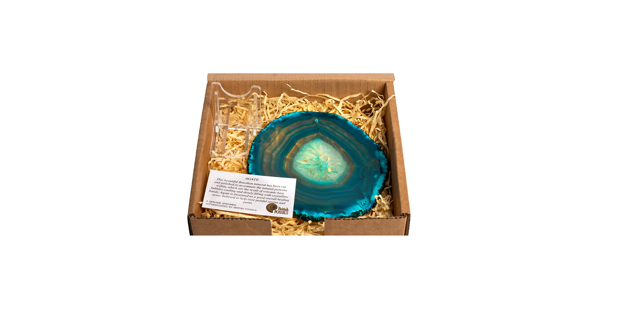British Fossils Gift Boxed Decorative Agate Slice Ornament with Stand (5" Green Agate Slice)