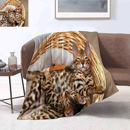 Aemape Couverture De Chaton Petits Chats Du Bengale Dans Le Panier Couverture Feline Domestique De Chatons De Race Pure Calin Brun Marron Clair Beige Amazon Fr Cuisine Maison Aemape Couverture De Chaton Petits Chats Du Bengale Dans Le Panier Couverture Feline Domestique De Chatons De Race Pure Calin Brun Marron Clair Beige Amazon Fr Cuisine Maison
