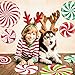 Happy Storm Christmas Wall Decals & Floor Stickers - Gingerbread & Peppermint Christmas Decorations