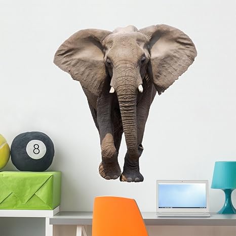 elephant wall stickers amazon