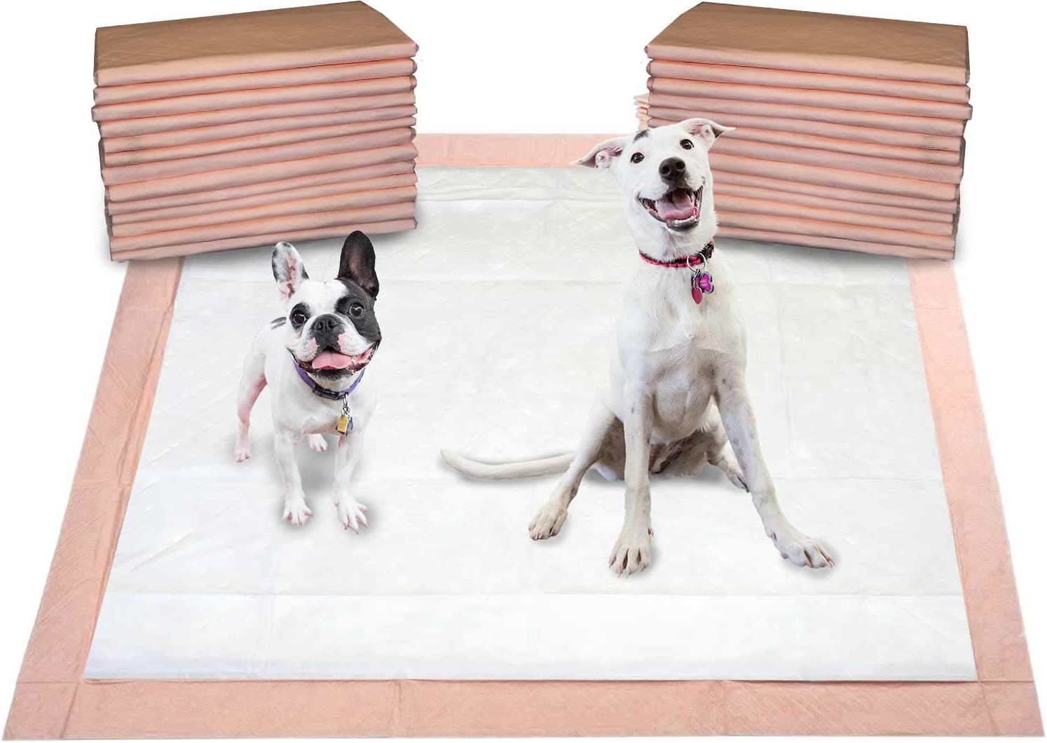 dogs trust rescue dogs