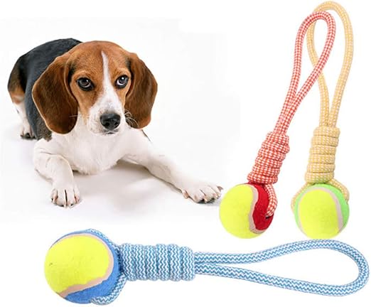 dog tennis ball teeth