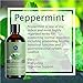 Peppermint Essential Oil,Premium Therapeutic Aromatherapy Oil,100ML