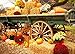 DULUDA Fall Photography Backdrop Thanksgiving Pumpkin Carriage Backdrop Party Supplies Farm Harvest Event Banner Decoration Photo Booth Props Studio Background 7X5FT WXL39C