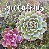 Succulents 2020 Calendar by