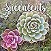 Succulents 2020 Calendar by