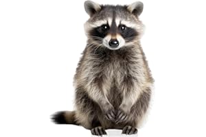 DORDOR & GORGOR Raccoon - Life Size Cardboard Cutout Standup People with Support Standee | Animals -