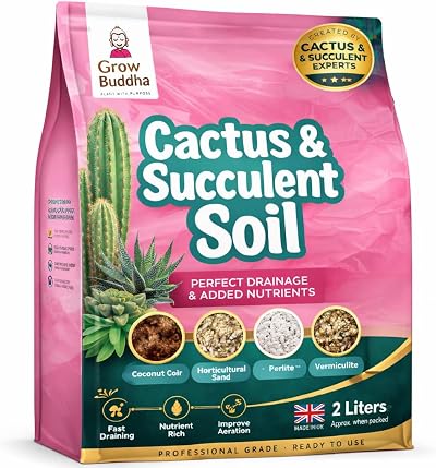 Grow Buddha Cactus Succulent Soil Mix 2L Indoor Potting Compost