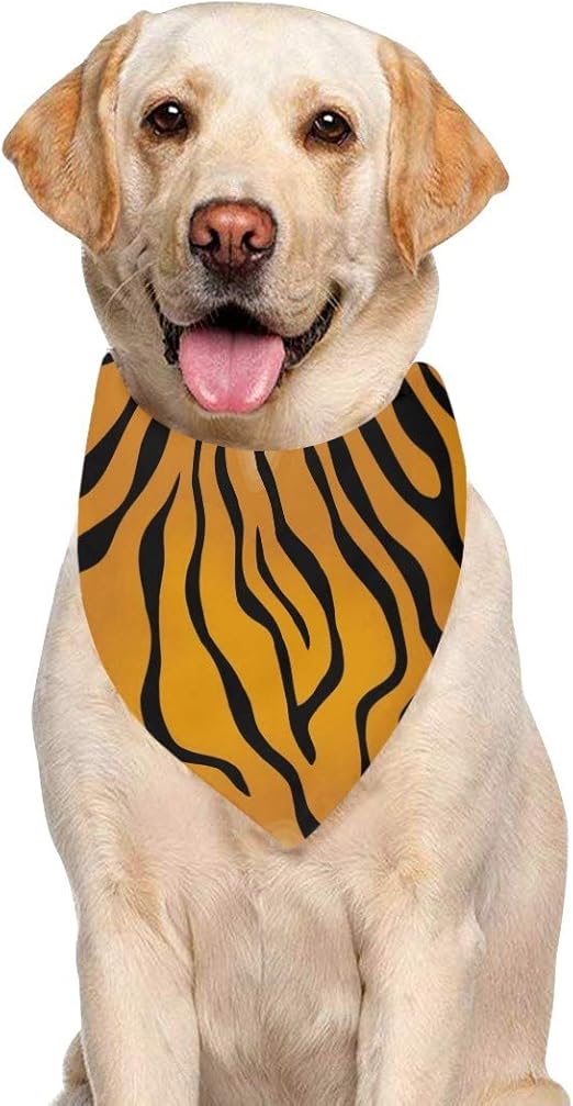 tiger type dog