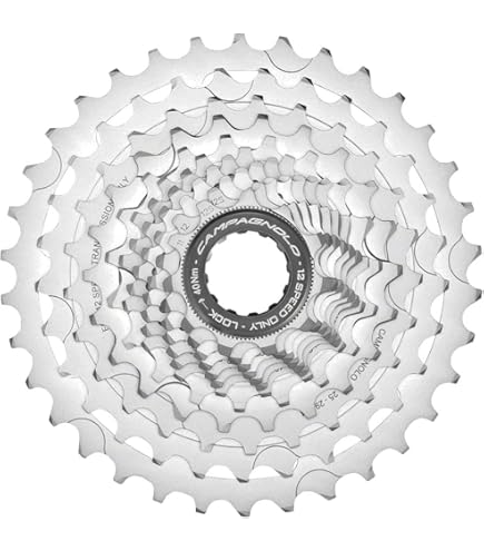 Amazon.com : Campagnolo Chorus 12S 12s Rear Derailleur RD20-CH12 1