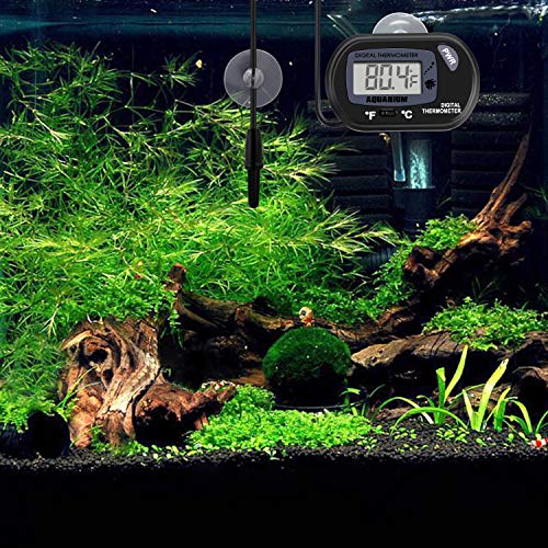 6 Windbells+Thermometer+LCD+Digital+Temperature+Reptiles+Like
