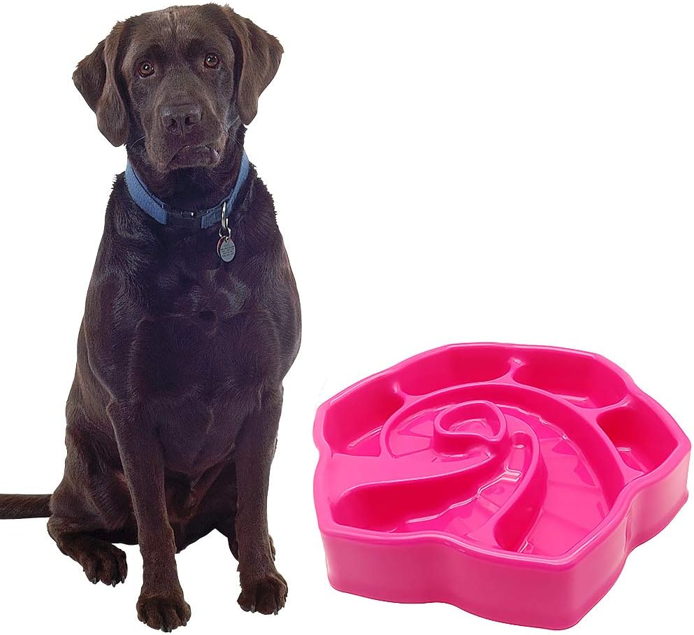 the range dog bowls