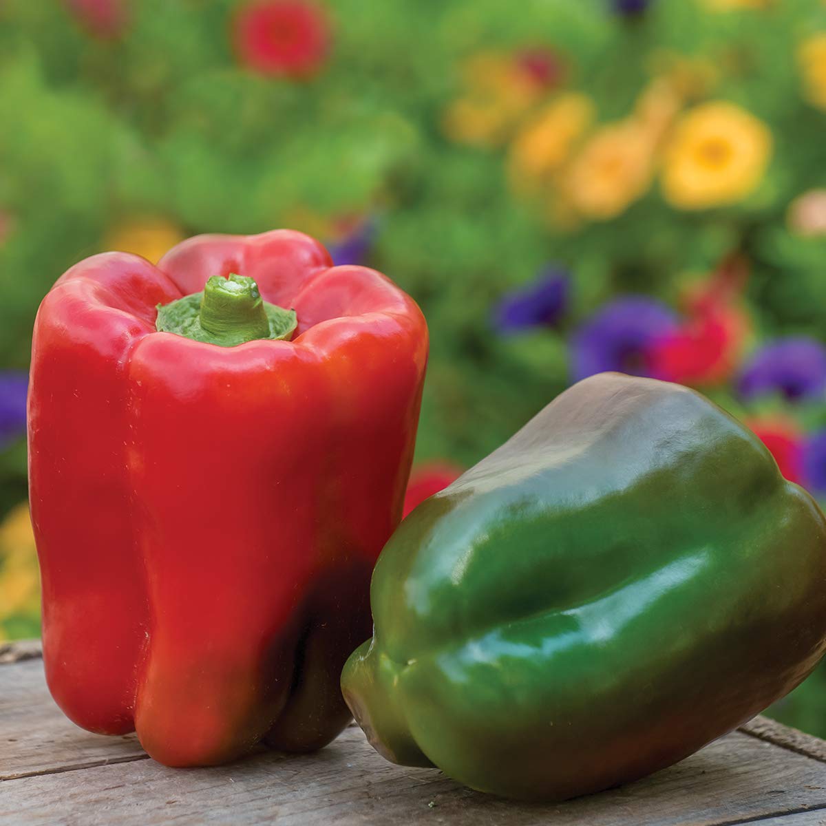 Burpee Great Stuff Sweet Pepper Seeds 40 seeds Garden