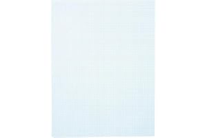 DARICE Plastic Canvas 7 10"X13"-Light Blue, (Pack of 12)