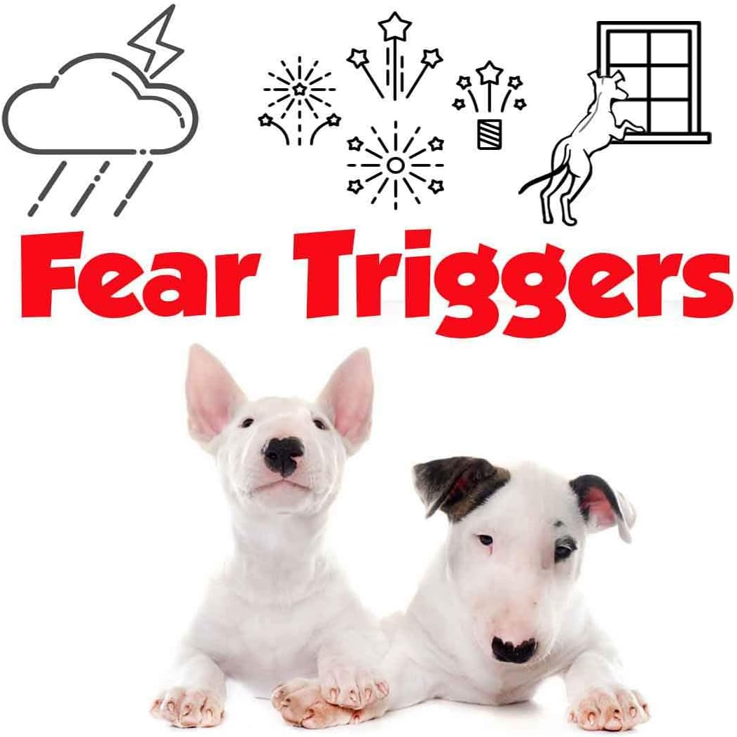 bull terrier separation anxiety