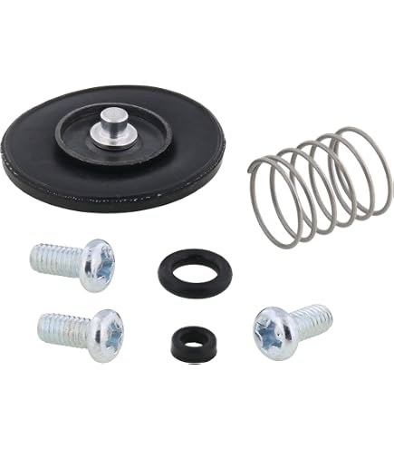 Amazon.com: All Balls Racing 46-2006 Hot Start Plunger Kit