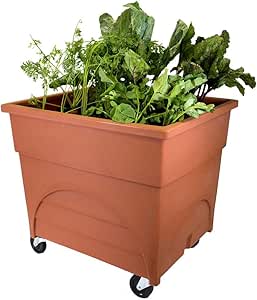 Amazon.com : City Pickers 2361d Orange City Pickers Root Vegetable