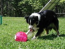 YayLabs! Ice Cream Ball, Green, Quart