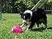 YayLabs Play and Freeze Ice Cream Ball Ice Cream Maker, Pint, Red