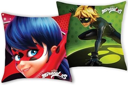 Amazoncom Character Miraculous Ladybugcat Noir Pillow