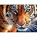 DIY 5D Diamond Painting by Number Kits, Full Drill Crystal Rhinestone Embroidery Pictures Arts Craft for Home Wall Decor Gift,Aggressive Tiger