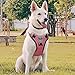 BABYLTRL No Pull Dog Harness with Leash & Collar, Adjustable Dog Vest Harness Reflective Oxford No-Choke Soft Pet Harness for Small Medium Large Dogs Easy Control Harness (Harness-Pink, X-Large)