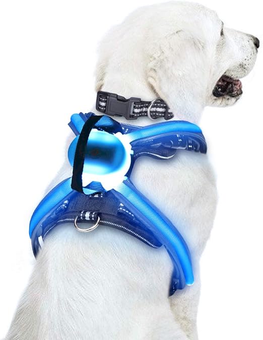 chest led dog harness