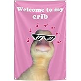 Welcome To My Crib Flag 2x3 Feet Tapestry With 4 Brass Grommets. Funny Flag for Teen Girls Room Indoor Outdoor Bedroom and College Dorm Wall Decor Banner. (pink)