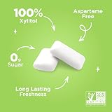 PUR Gum Sugar Free Chewing Gum Mint Xylitol Vegan Gluten Free Keto 55 Pieces view 4