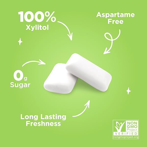 PUR GUM | ASPARTAME FREE CHEWING GUM | 100% XYLITOL | NATURAL COOLMINT FLAVORED GUM, 55 PIECES (PACK OF 1)