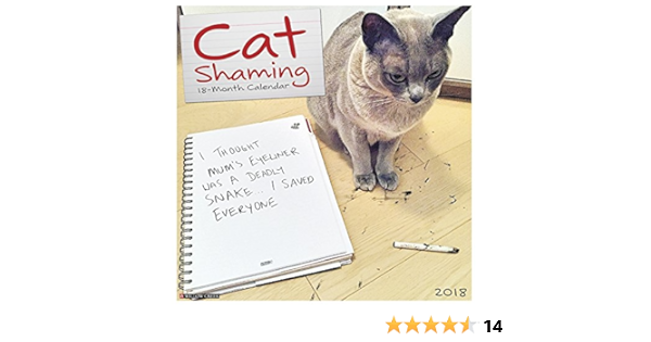 Cat Shaming 18 Calendar Willow Creek Press Amazon Com Books