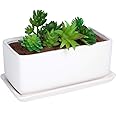 Liry Products 10 inch Rectangular White Ceramic Planter Pot Succulent Cactus Herb Flower Container Window Box Saucer Removable Drip Tray Base Drain Holes Home Office Indoor Outdoor Garden Desktop