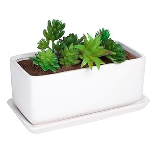 Liry Products 10 inch Rectangular White Ceramic Planter Pot Succulent Cactus Herb Flower Container Window Box Saucer Removable Drip Tray Base Drain Holes Home Office Indoor Outdoor Garden Desktop