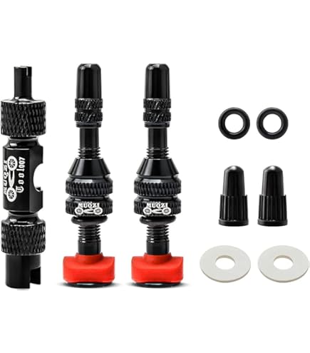 RUKA樣專用 Amazon.com: BlackPath - 適用於Kawasaki Swingarm 擴展套件忍者