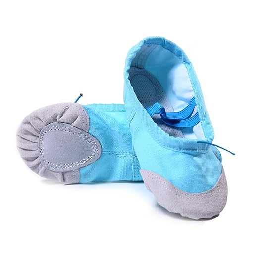 DoGeek Gute Qualität Ballettschuhe weich Spitzenschuhe Ballet Trainings Schläppchen Schuhe für Mädchen/Damen in den Größen 22