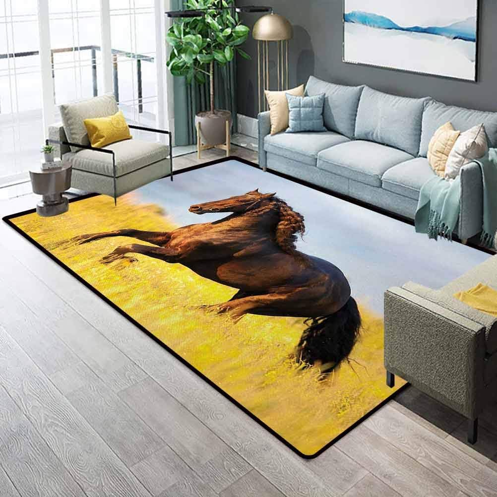 Horses Rugs for Outdoors Rugs for Kitchen Friesian Horse