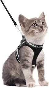 rabbitgoo Cat Harness and Lead Set for Extra Small Cats Reflective Vest Harness