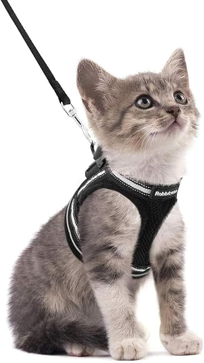 rabbitgoo Cat Harness and Lead Set for Extra Small Cats Reflective Vest Harness
